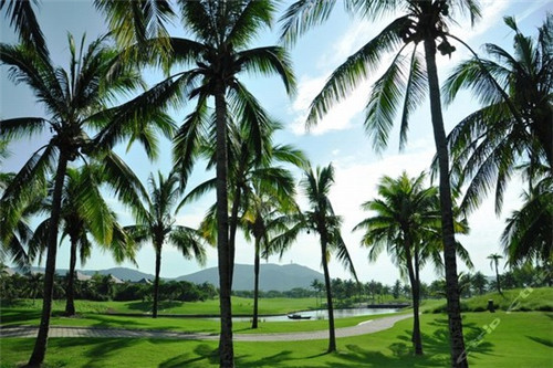 阿妈记忆过桥米线