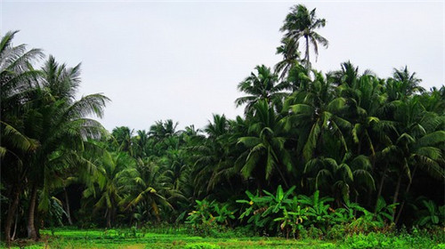 在喀喇沁左翼蒙古族自治县加盟牛肉面店投资前景有哪些，马有才牛肉面加盟在喀喇沁左翼蒙古族自治县开店怎么样