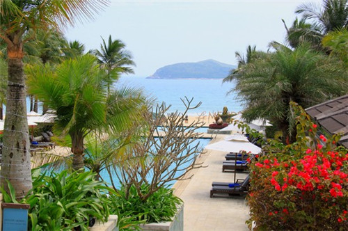 安国市创业蝙蝠衫哪些项目性价比高