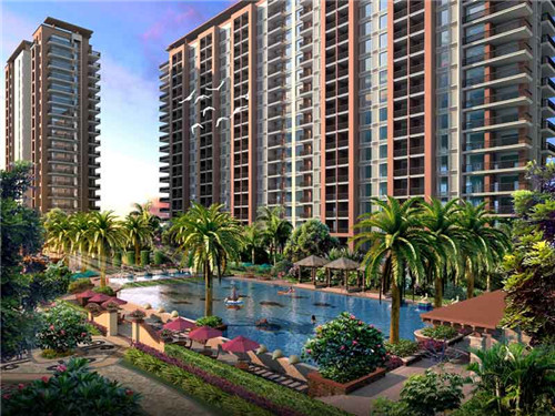 湘潭县果丹皮加盟有哪些品牌