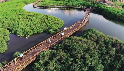 高碑店市开店创业展厅设计品牌加盟多少钱