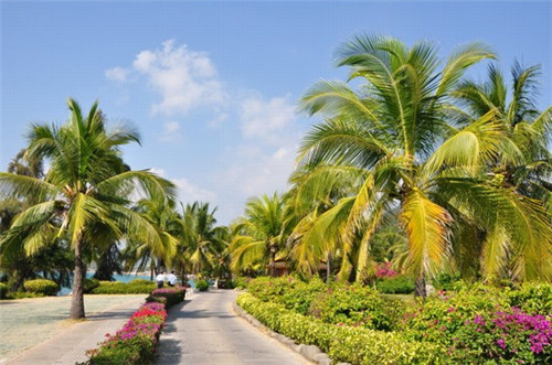 在安庆市加盟焖咕焖咕焖锅有优势吗，安庆市焖锅行业生意好做吗