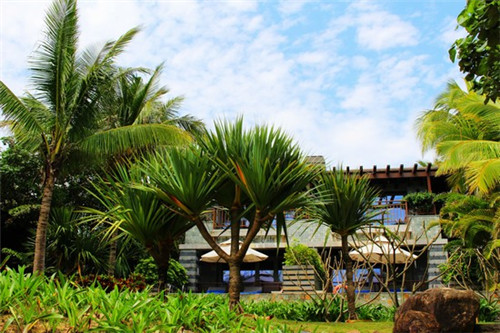 看快手怎么关闭配乐模式（快手怎么取消使用配乐）