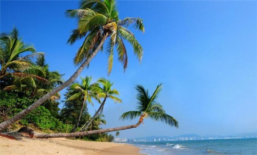 雳剑罗团长拦截日军牺牲却不倒（雳剑各演员结局）