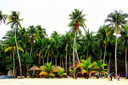 5坐旅行车（五座旅行车推荐）