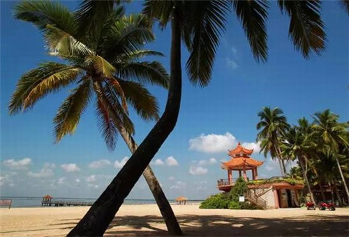 物业费实行预交吗（物业费要预交）