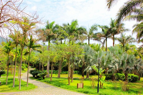 加盟呆子锅盔正常几年盈利，呆子锅盔怎么加盟