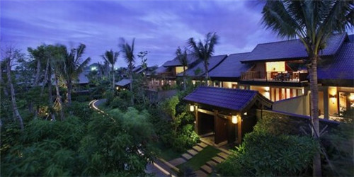 披萨盒子一年盈利多少